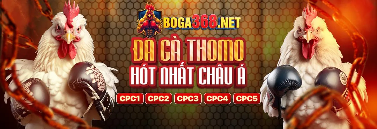 Đá gà trực tuyến kịch tính tại Falconbet Chính Thức